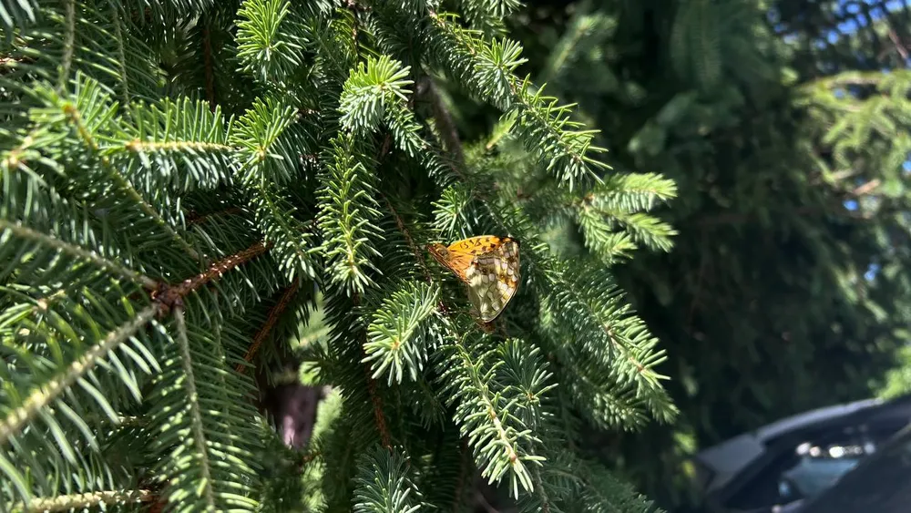 Гороскоп на 12 июля: Львы, не хвастайтесь достижениями, Скорпионы, рискуйте