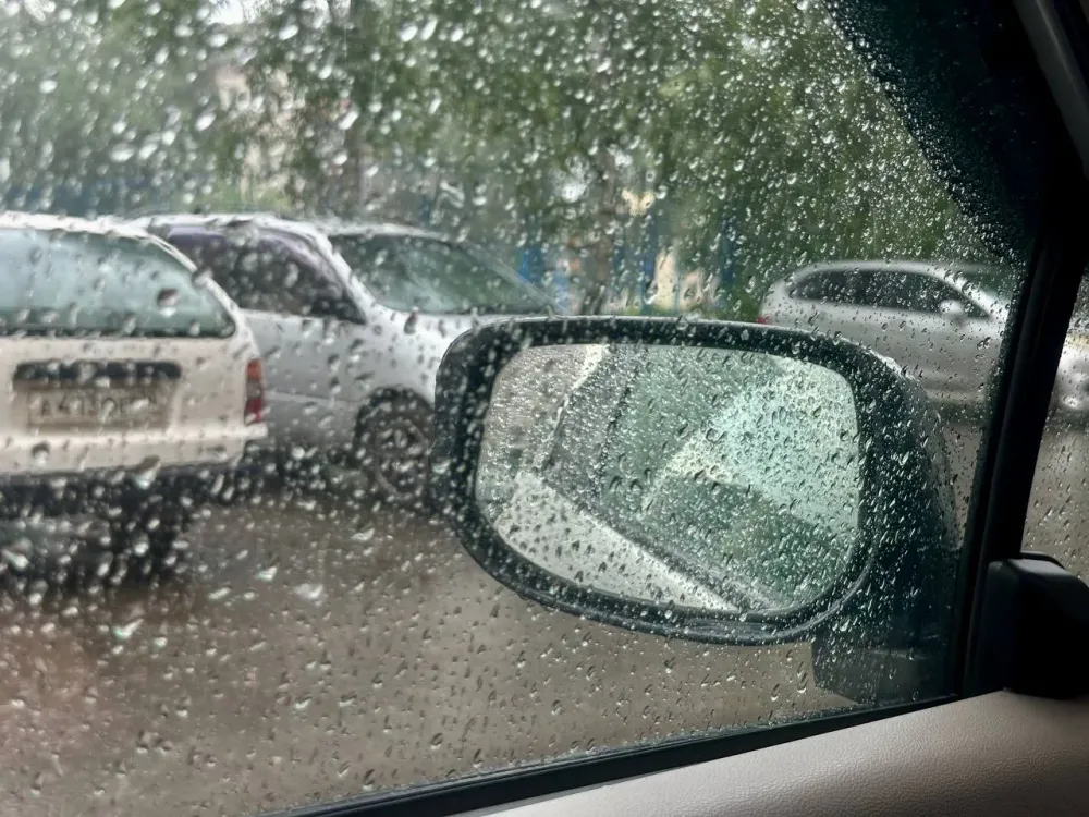 Сильный дождь, гроза, низкое давление: прогноз погоды на 12 июля в ЕАО