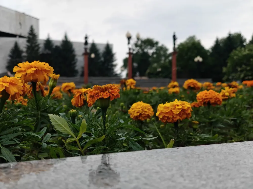 Гороскоп на 13 июля: у Дев застой в проектах, а у Весов признание в социальной сфере