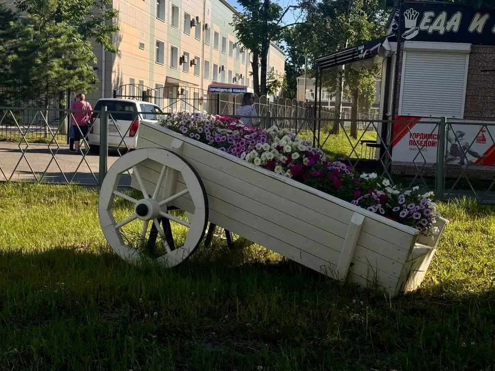 Игры со спичками, свадьба в Москве, ремонт дорог: дайджест новостей недели ЕАО