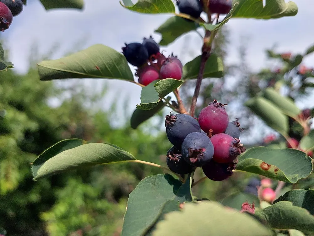 Гороскоп на 18 июля: Раки, перед вами откроются новые двери, Стрельцы, не бойтесь выходить за рамки
