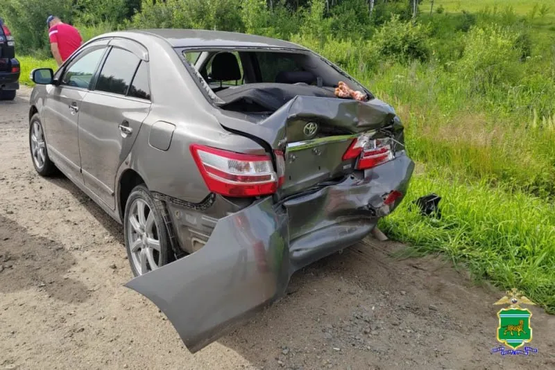 ДТП с двумя пострадавшими произошло в ЕАО: водитель и пассажир «Тойота Премио» в больнице