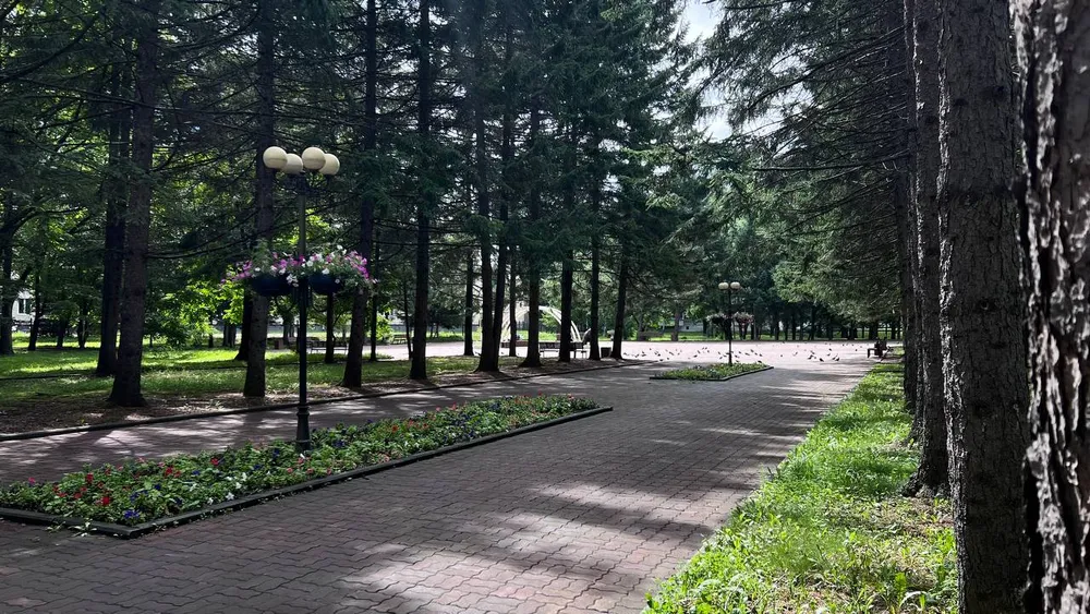 Небольшой дождь, возможна гроза: погода на 19 июля в ЕАО