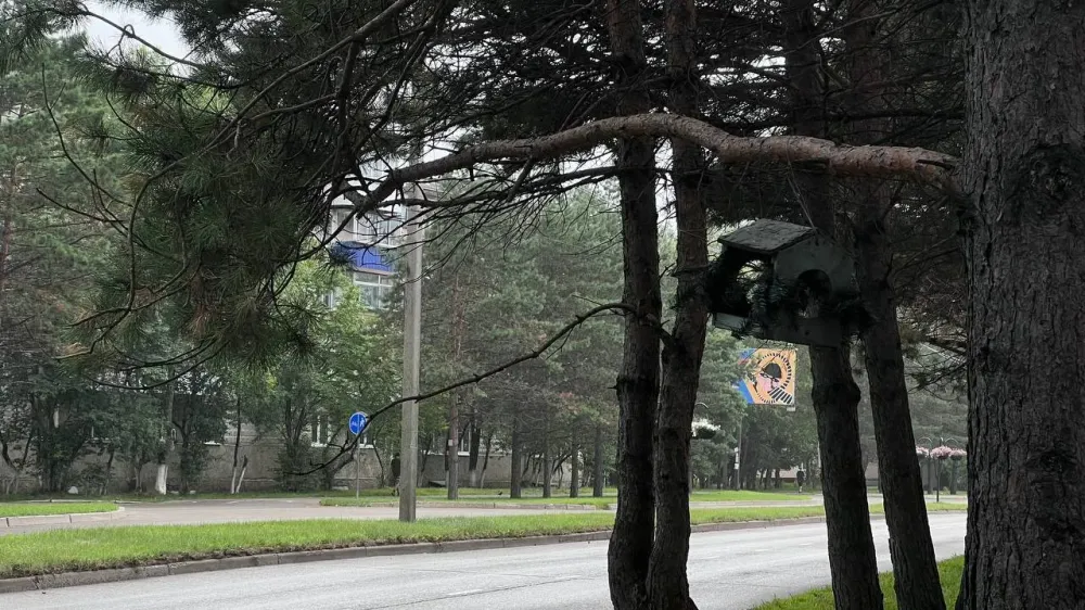 Какой будет погода в воскресенье в ЕАО, рассказали синоптики