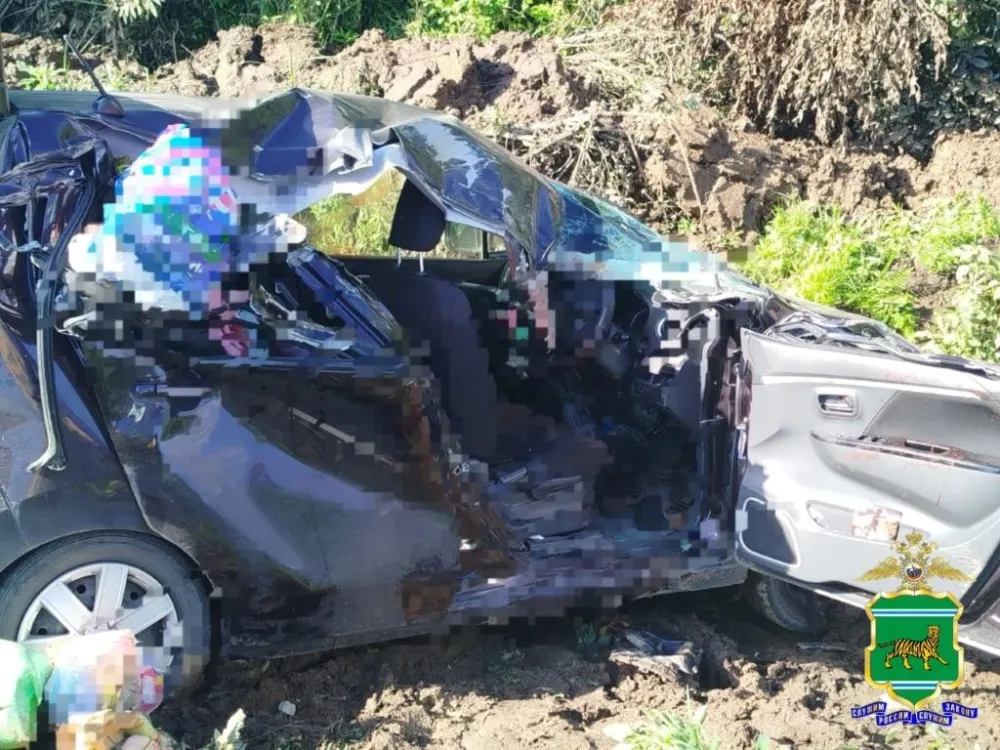 Трагедия на трассе «Амур»: ребенок погиб в ДТП в ЕАО