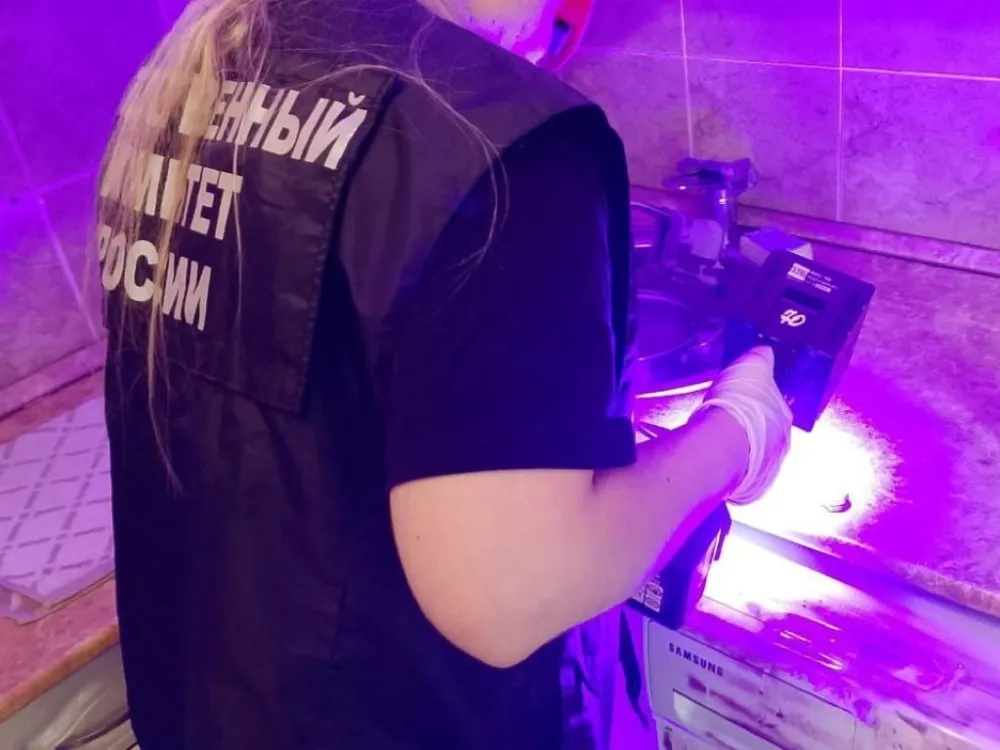 Подозреваемого в убийстве и расчленении тела женщины задержали в Биробиджане