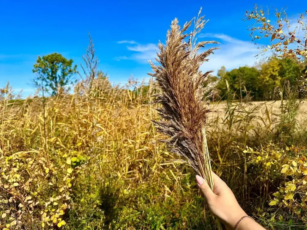 Куртки подождут: синоптики назвали даты бабьего лета