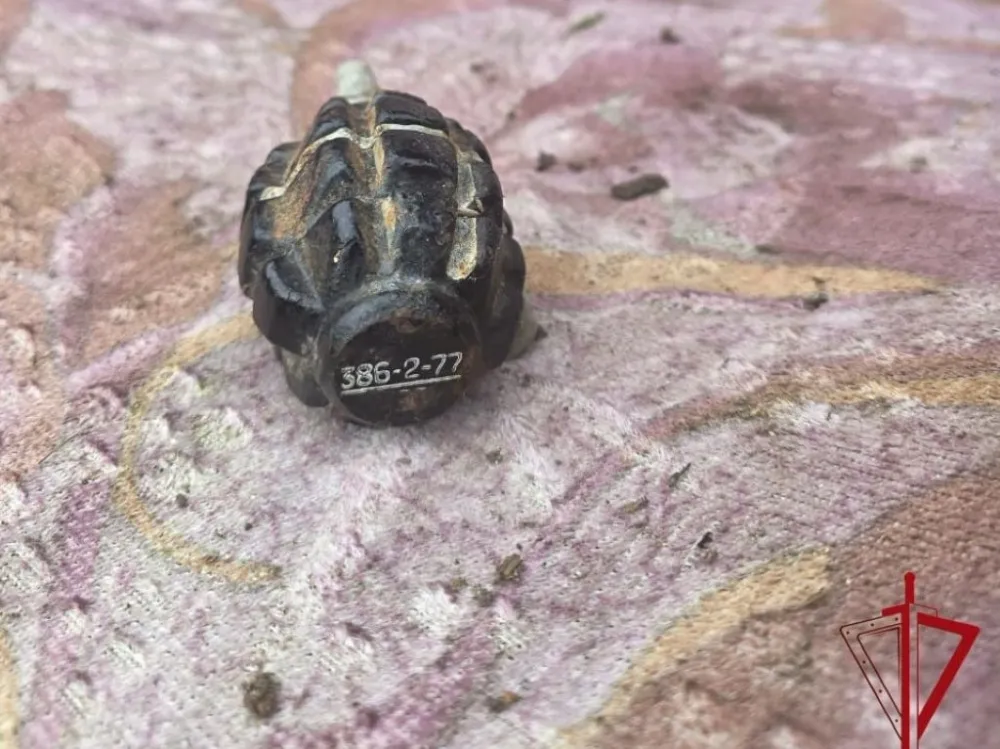 Похожий на гранату предмет обезвредили в Биробиджане