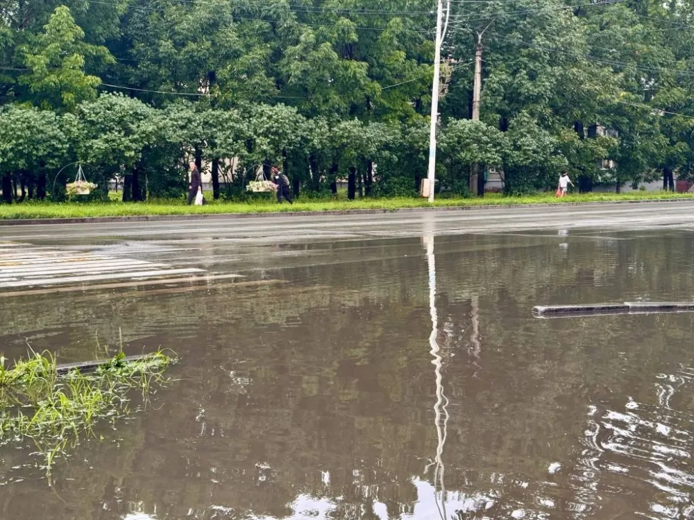 Погода на 16 августа: небольшой дождь ожидается в ЕАО