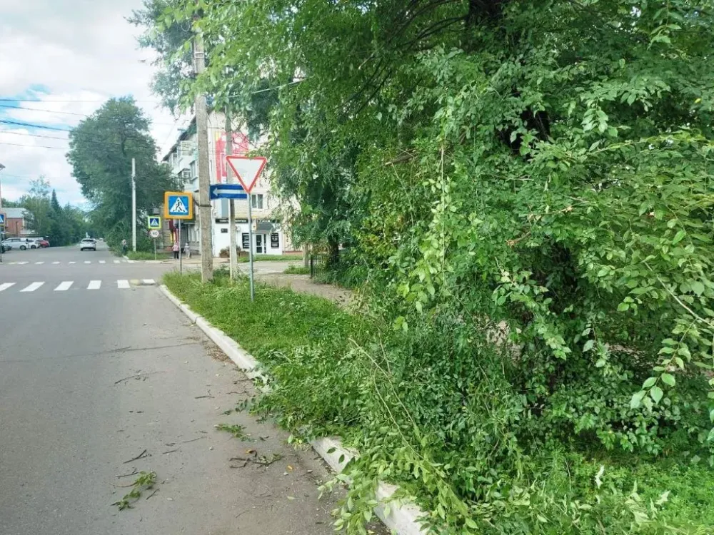 Кусты и деревья подрезают в Биробиджане
