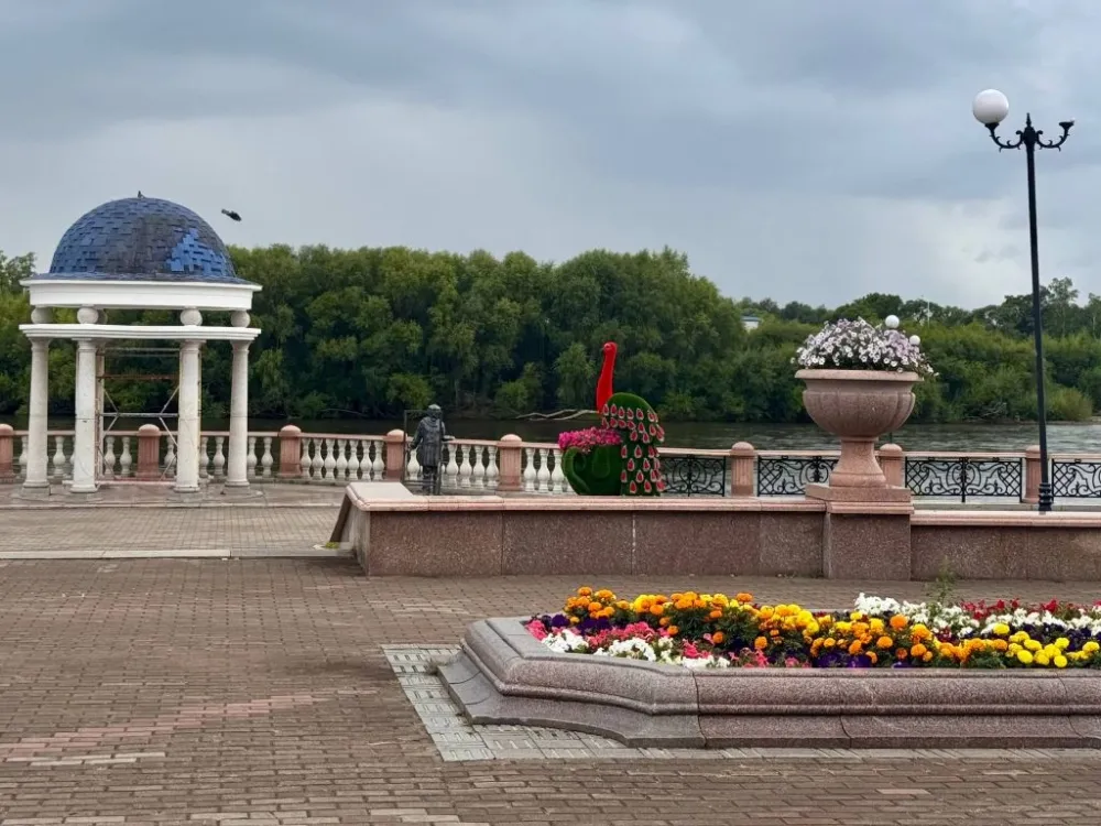 Фестиваль активных граждан и ночь кино - анонсы событий в ЕАО