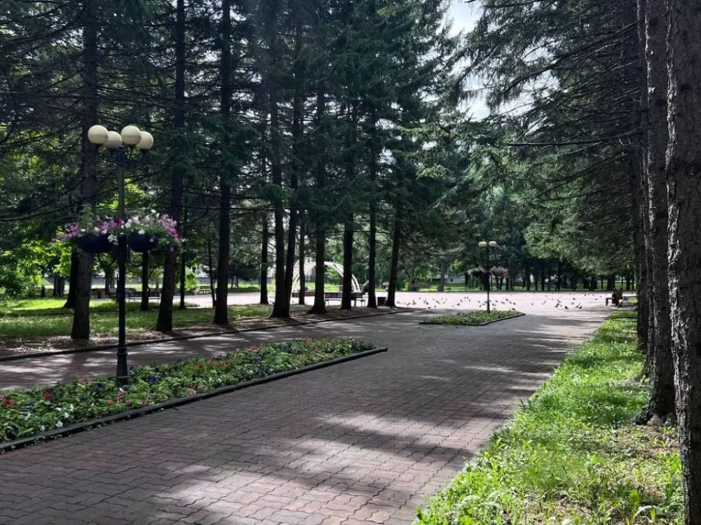 Погода на 27 августа: ясная погода ожидается местами в ЕАО