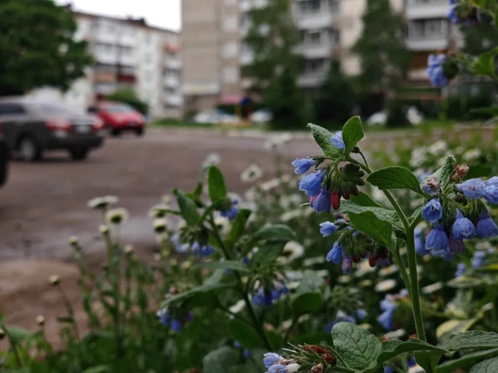 Погода на 28 августа: до 28 градусов прогреется воздух местами в ЕАО