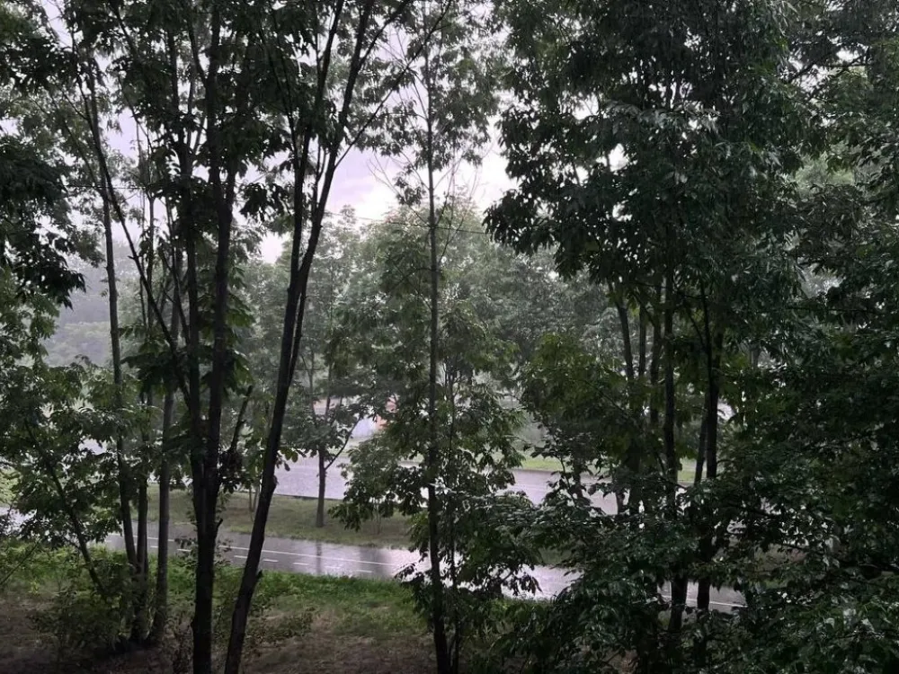 Погода на 6 августа: небольшой дождь ожидается в некоторых районах ЕАО