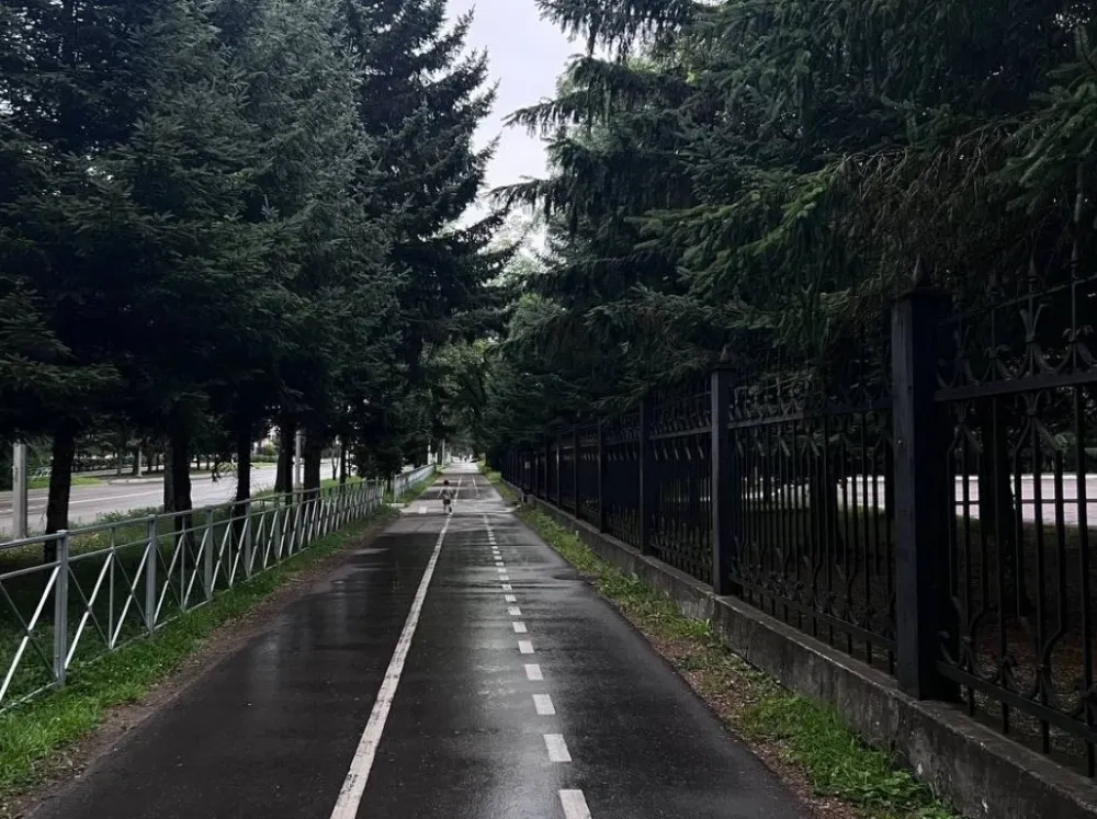 Погода на 29 августа: переменная облачность и небольшой дождь ожидаются местами в ЕАО