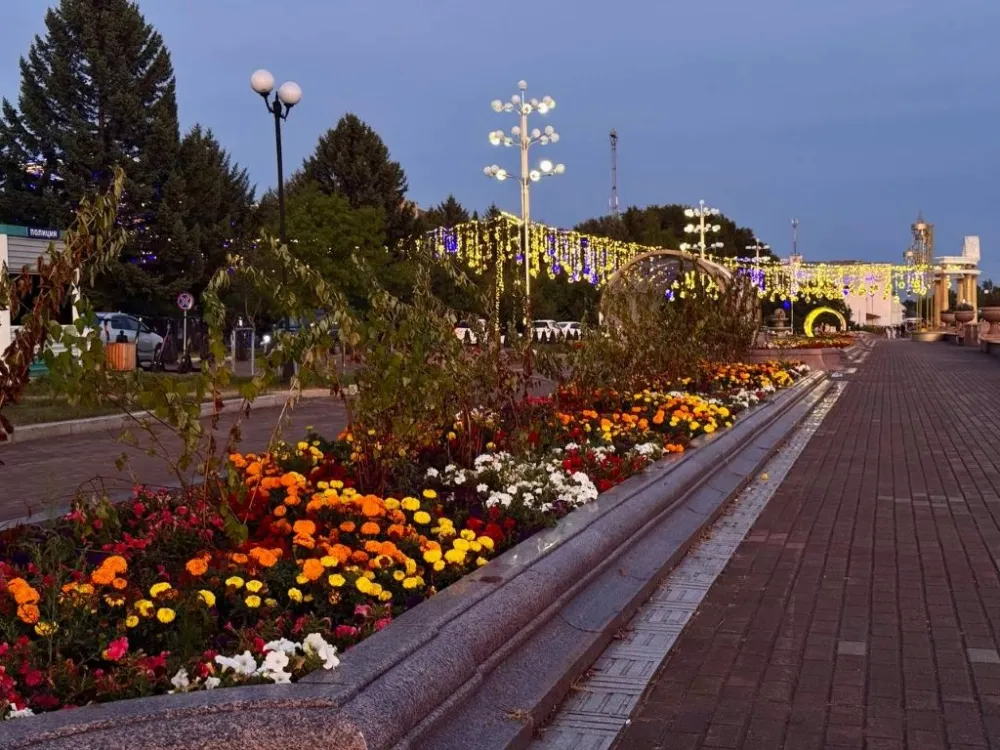 Погода на 30 августа: переменная облачность, гроза ожидаются в ЕАО