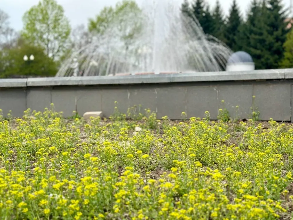 Погода на 14 августа: небольшой дождь ожидается в ЕАО