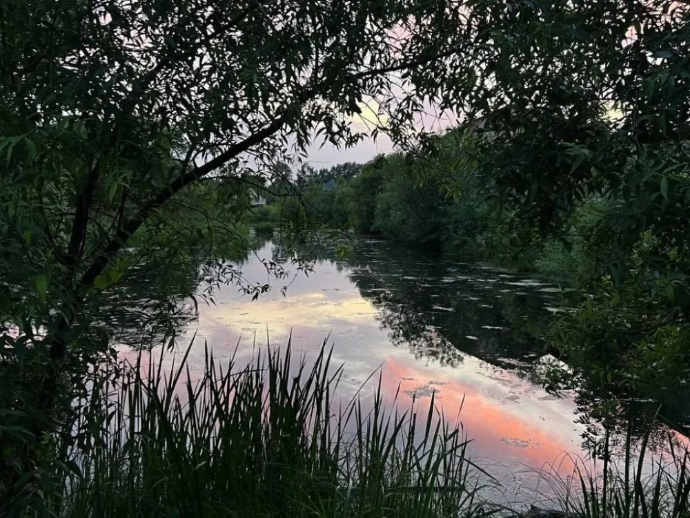 Биробиджанец утонул во время отдыха с друзьями