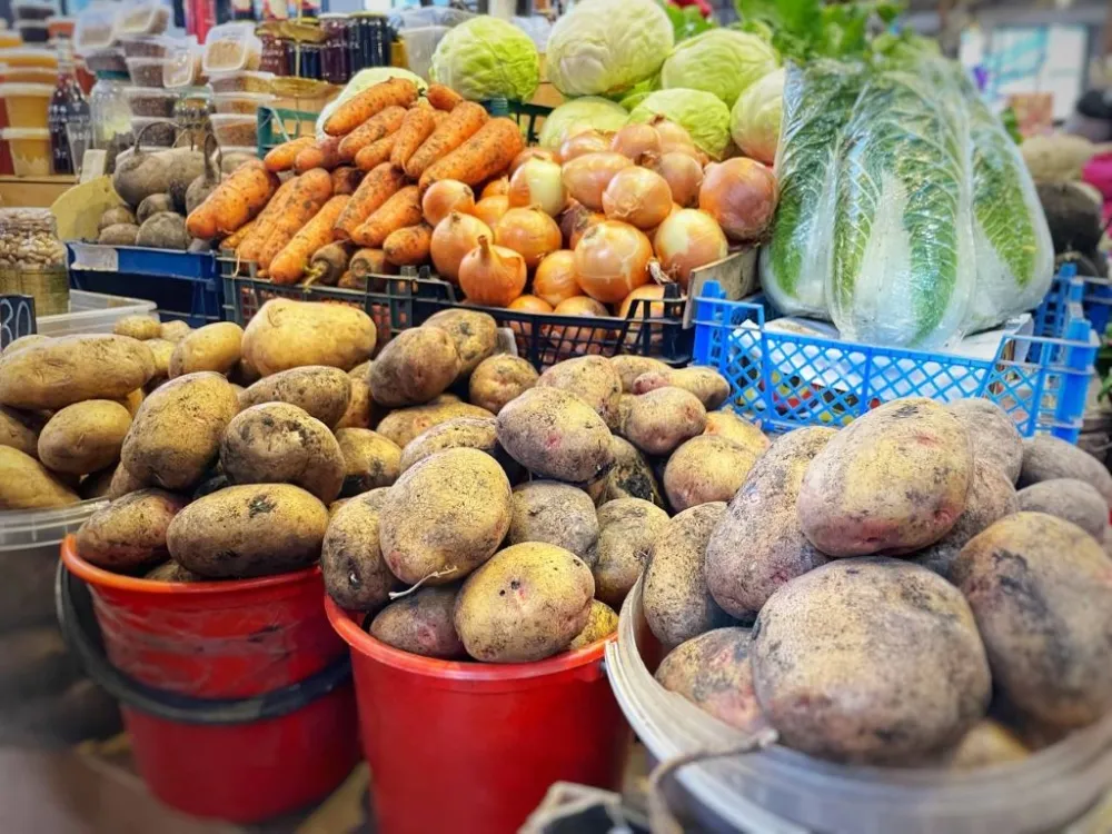 Эксперты раскрыли секреты идеального сбора картофеля для длительного хранения