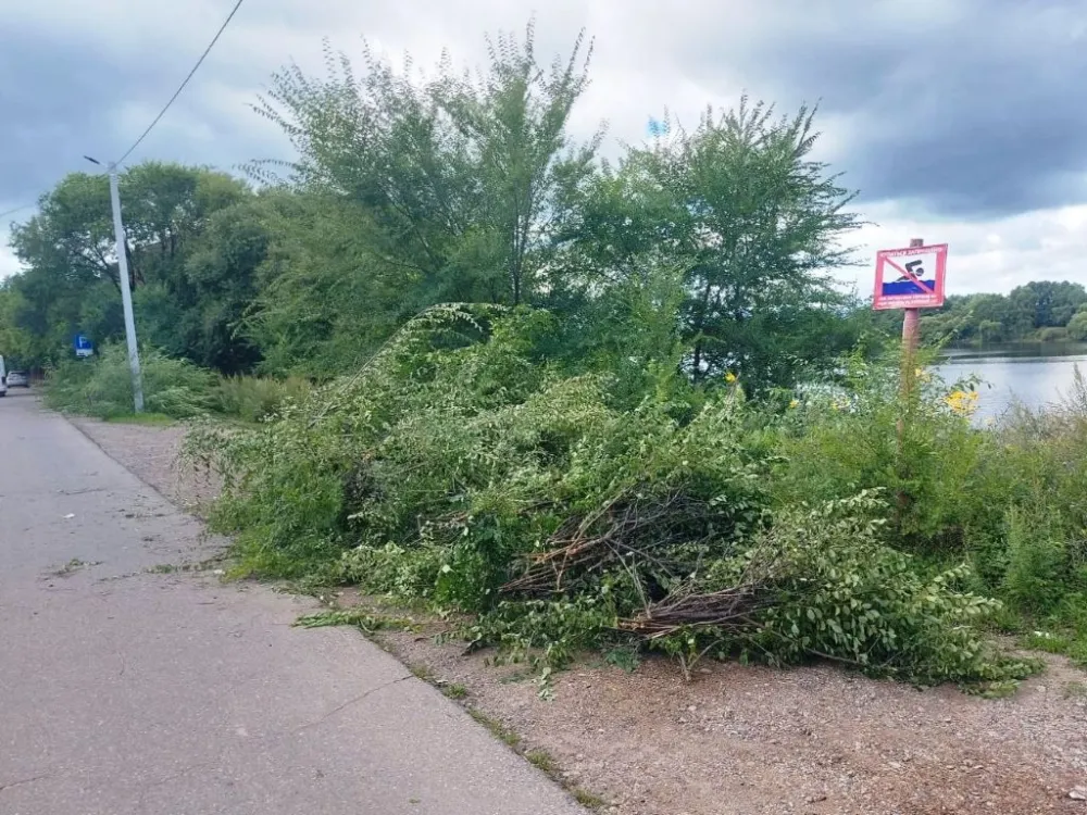 Подрезка зелёных насаждений идёт полным ходом в Биробиджане