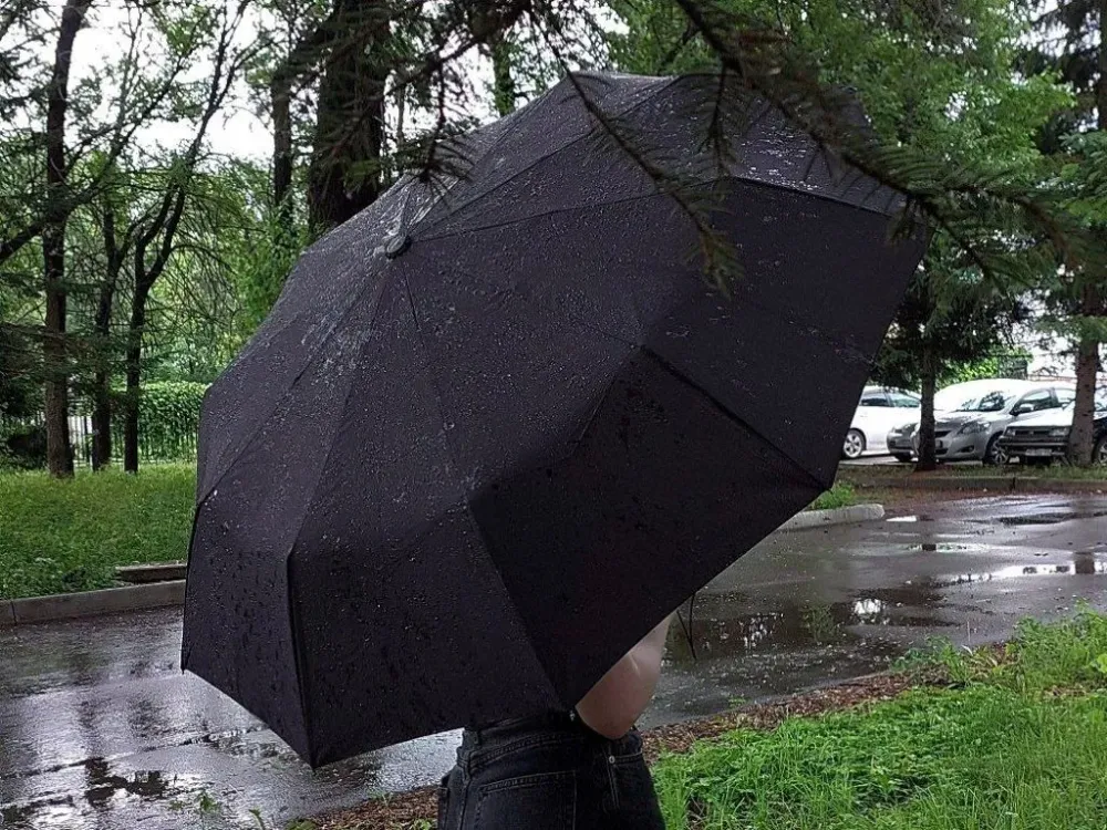 Погода на 1 сентября: геомагнитные возмущения и грозовые дожди ожидаются в ЕАО