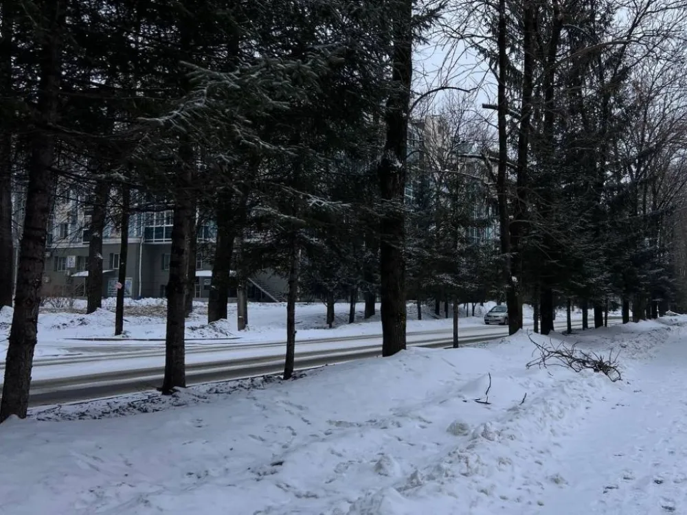 Не снег, а дождь: какой будет предстоящая зима и как к ней подготовиться