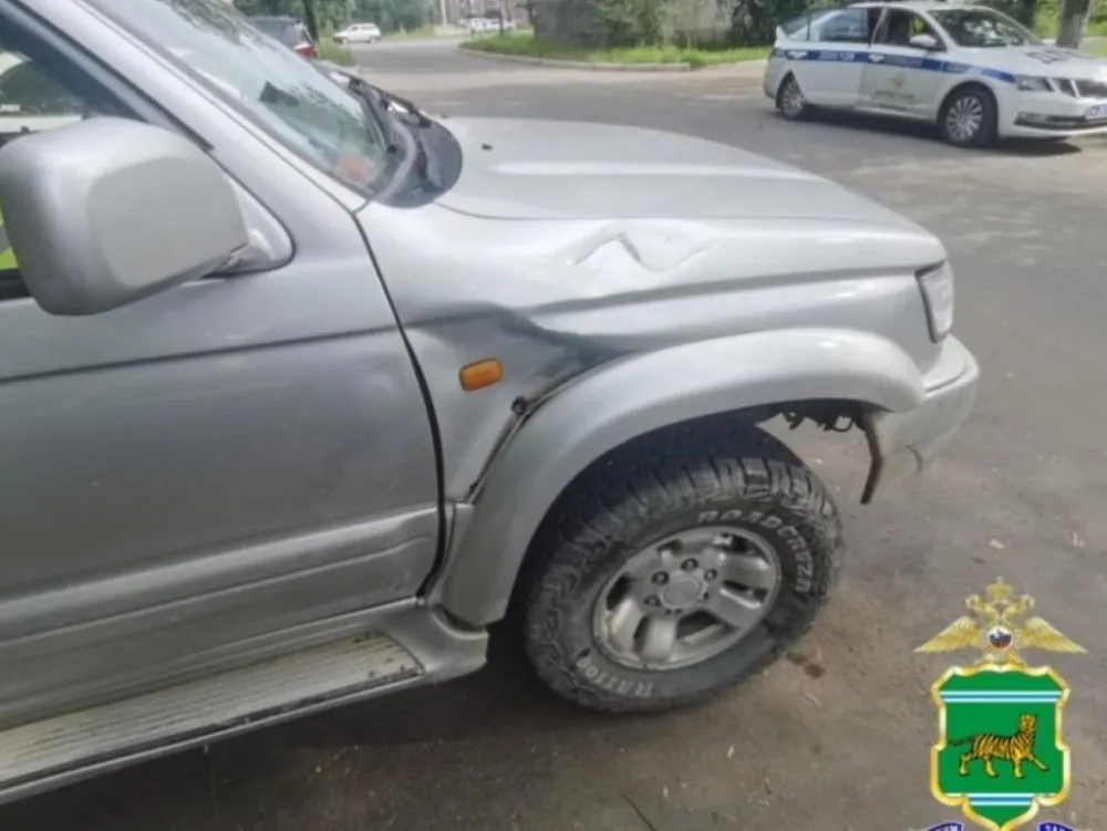 Девочка-пассажирка питбайка пострадала в автоаварии в Биробиджане