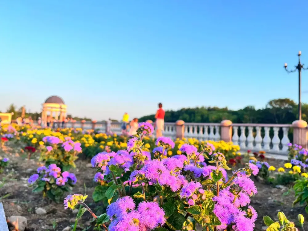 «Блуждающая «Звезда»» и «Выставка спичечных этикеток» - анонсы событий в ЕАО