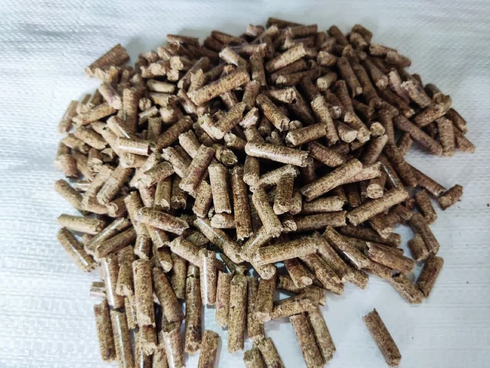 В ЕАО закупят 20 тысяч тонн древесных гранул для современных котельных