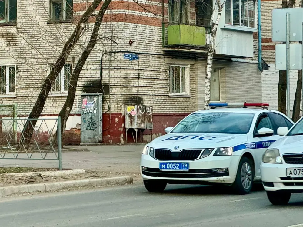 В ЕАО женщина обвиняется в применении насилия к полицейским