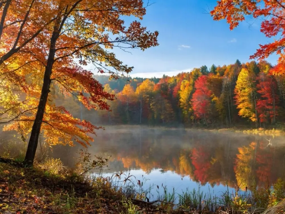 Гороскоп на 28 сентября: у Дев исполнятся желания, а Весы могут сменить работу