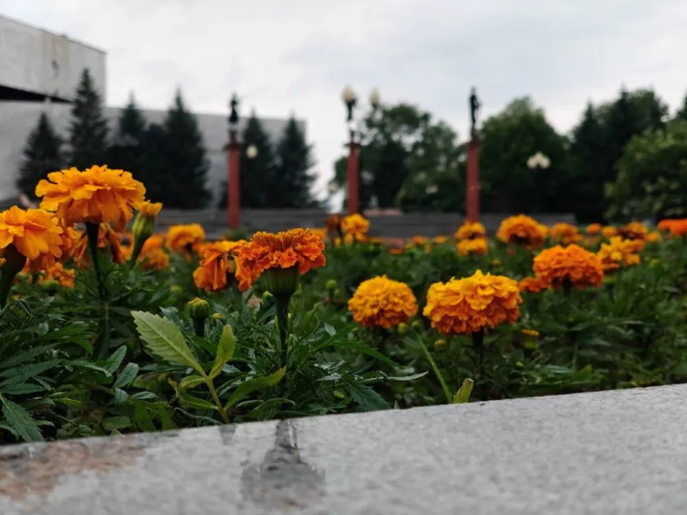 Погода на 3 сентября: малооблачная погода ожидается в ЕАО