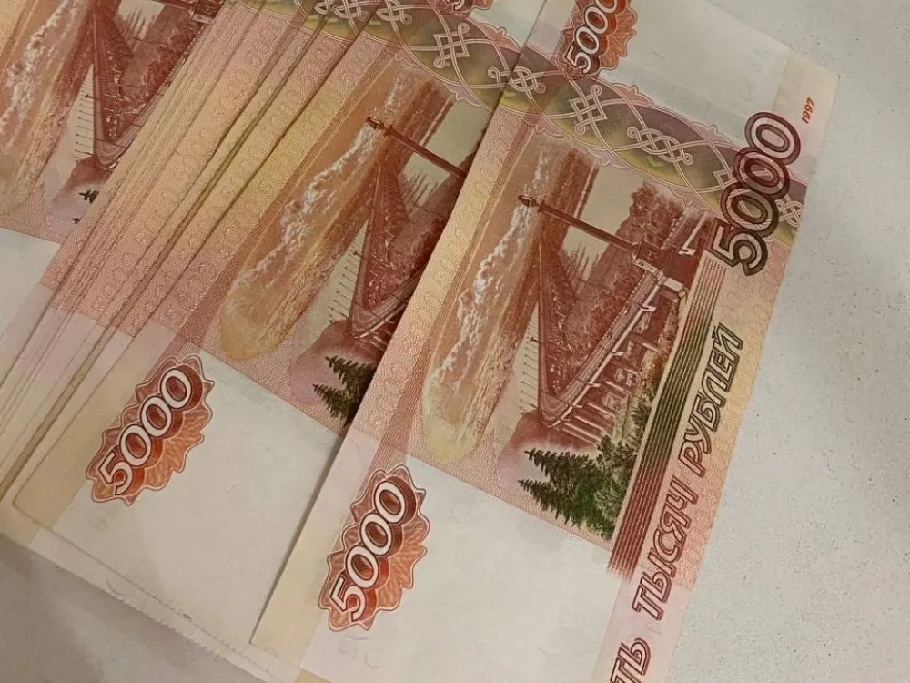 Старушку рецидивистку поймали в Биробиджане