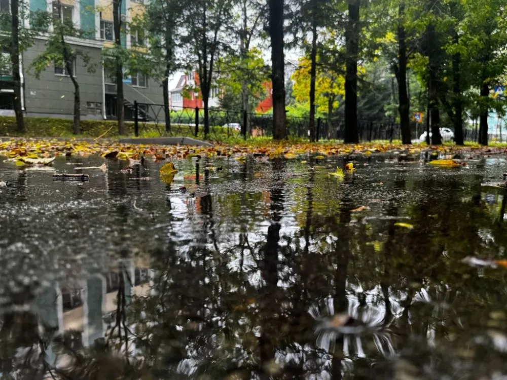 Погода на 16 сентября: переменная облачность, дождь ожидаются в ЕАО