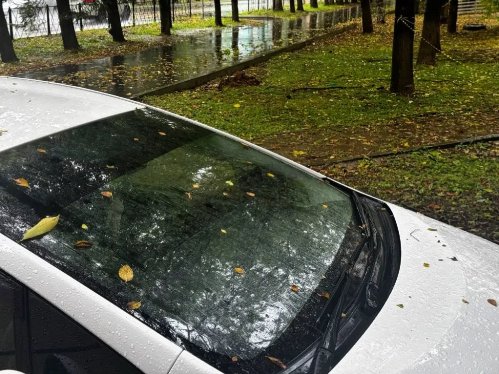 Погода на 20 сентября: небольшой дождь ожидается в ЕАО