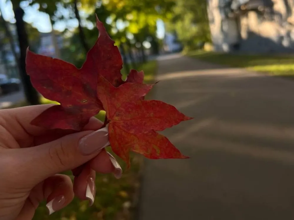 Погода на 22 сентября: до 10 градусов похолодает ночью в ЕАО