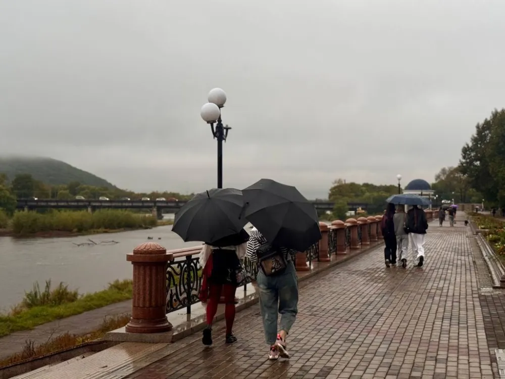 Погода на 24 сентября: переменная облачность, небольшой дождь ожидаются в ЕАО