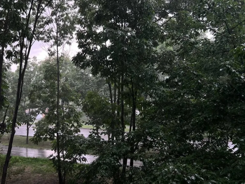 Погода на 25 сентября: сильный дождь, местами туман ожидаются в ЕАО