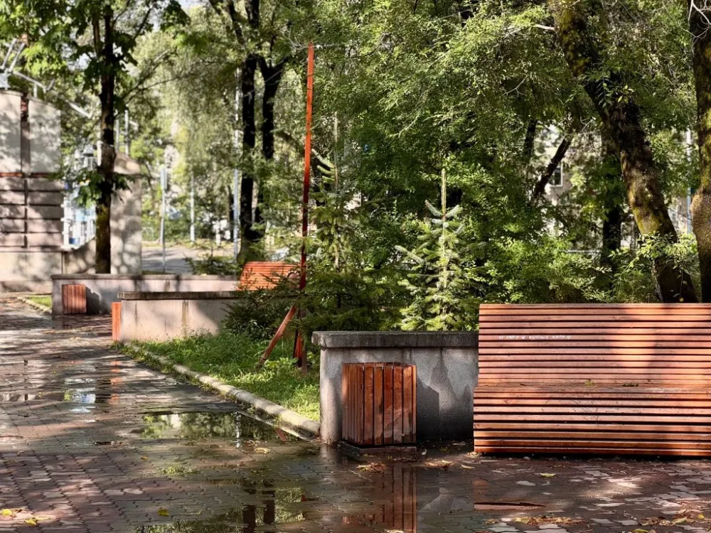 Погода на 26 сентября: переменная облачность, дождь ожидаются в ЕАО