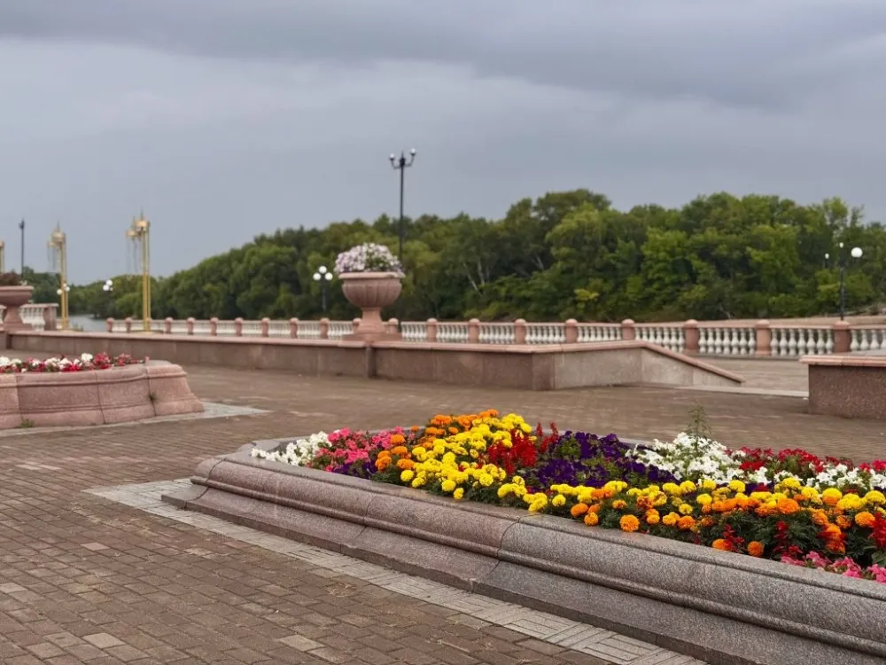 Гастрофест дикоросов и выставка Библии - анонсы событий в ЕАО