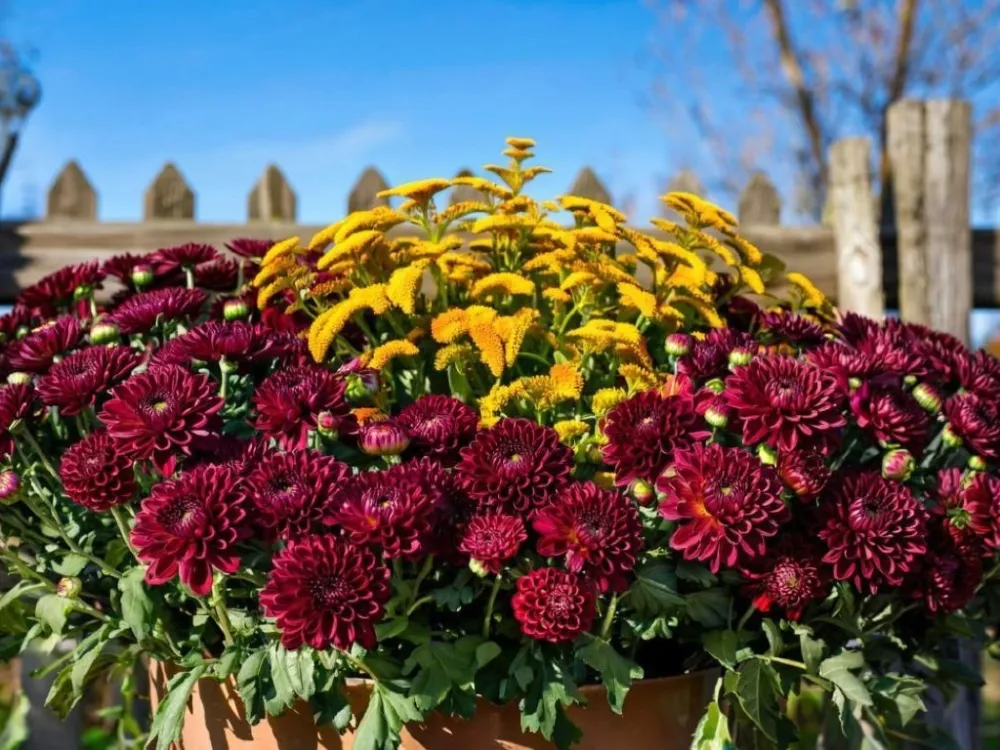 Гороскоп на 29 сентября: Близнецы притянут интересных собеседников, а Рыбы увидят интересные сны