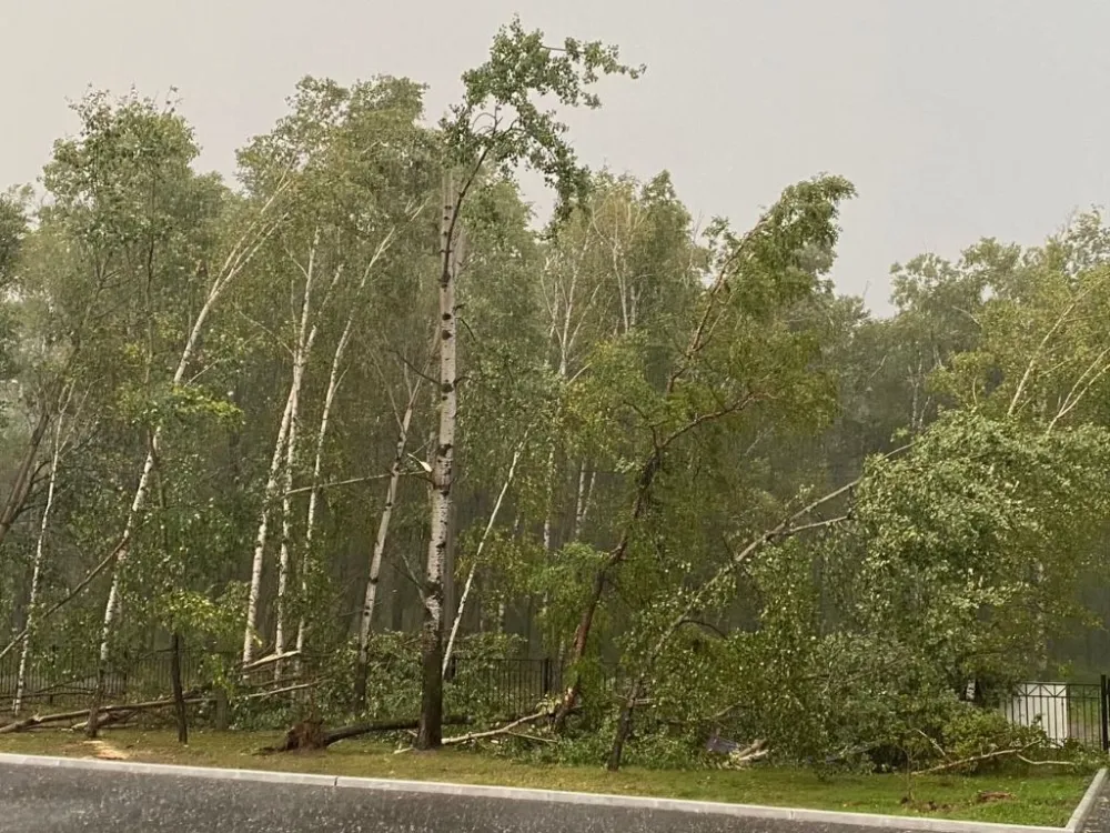 В результате разгула стихии около 6400 человек остались без света в ЕАО