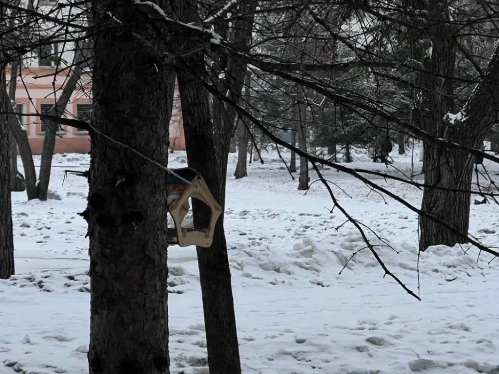 Россию ждет ранняя зима: синоптики объявили сроки первых снегопадов