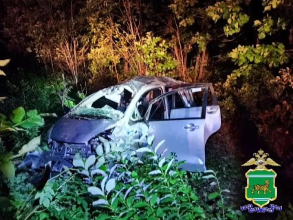 Слетел с трассы и врезался в километровый столб неустановленный водитель в ЕАО