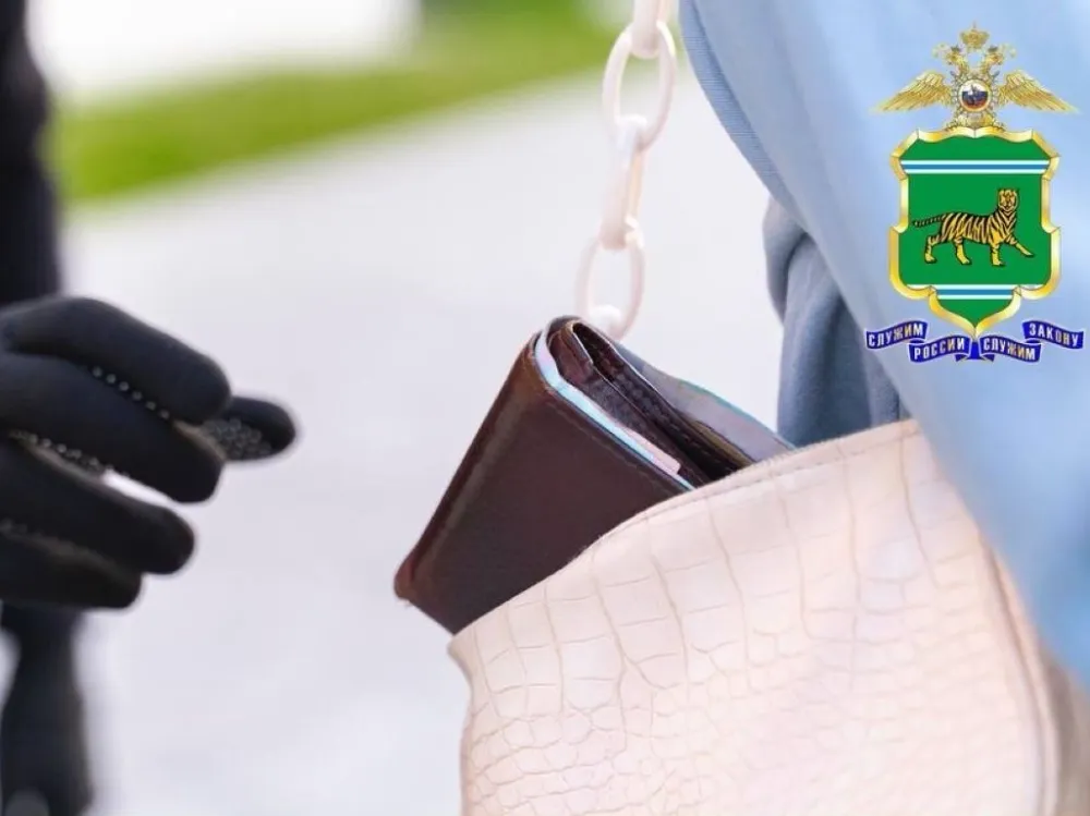 В ЕАО задержали подозреваемую в краже кошелька у пенсионерки
