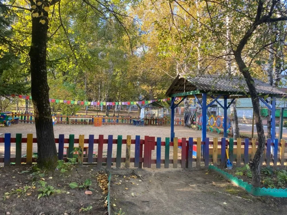 Биробиджанец матерился в детском садике