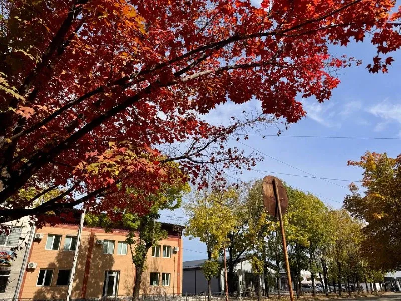 Погода на 28 сентября: теплая погода ожидается в ЕАО