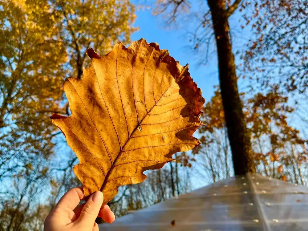 Какой будет погода в воскресенье в ЕАО, рассказали синоптики