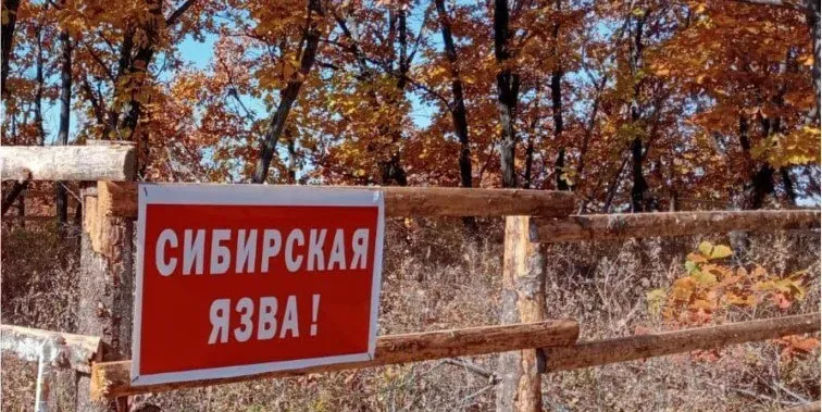 Командно‑штабные учения по сибирской язве прошли в ЕАО