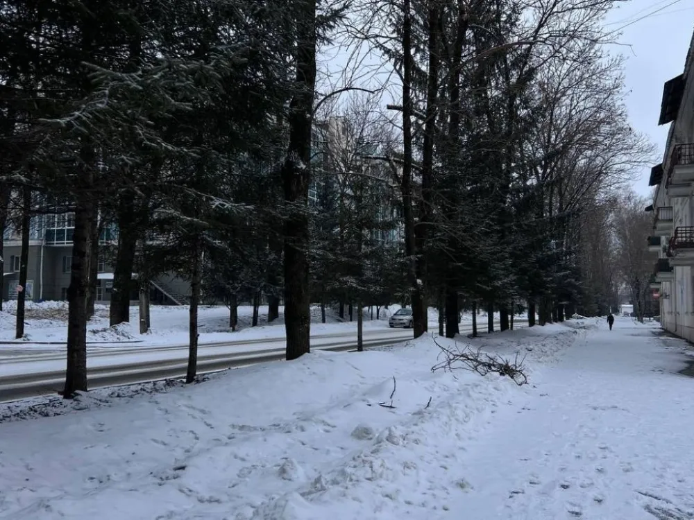 Биробиджанец отсудил деньги за падение на льду